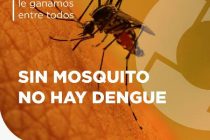 SIN MOSQUITO, NO HAY DENGUE