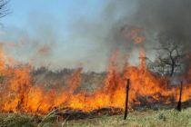 INCENDIOS RURALES, ¿QUIÉN LOS PROVOCA?