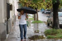 LLUEVE EN LOBOS: CAYERON HASTA LAS 11 HORAS, 43 MM