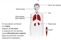 GRUPO INTERSECTORIAL CORONAVIRUS  2020. HASTA LA FECHA NO HAY CASOS CONFIRMADOS EN LOBOS
