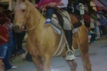 PRIMERO LE ROBARON Y MATARON UN NOVILLO, Y AHORA LE FAENARON UN CABALLO PARA HACER CHORIZOS