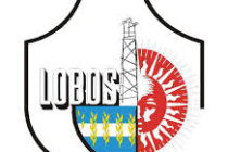 PROYECTO DE COMUNICACIÓN DE CONCEJALES DE JUNTOS POR EL CAMBIO – UVC CAMBIEMOS, UCR CAMBIEMOS DE LA CIUDAD LOBOS