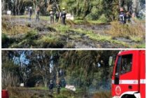 CERCA DEL MEDIODÍA SE DESATÓ UN INCENDIO FORESTAL AMENAZANDO UNA CASA Y UN COLMENAR
