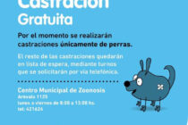 CASTRACIÓN GRATUITA DE PERRAS