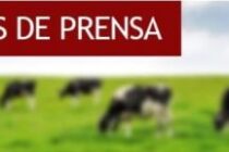 CARBAP EN ESTADO DE ALERTA Y MOVILIZACIÓN Y CON SESIÓN PERMANENTE