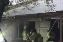 UNA SALAMANDRA PRODUJO UN INCENDIO EN UNA CASA DE CALLE 233