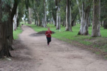 EL MUNICIPIO DE LOBOS FUE NOTIFICADO POR EL GOBIERNO PROVINCIAL QUE SE ENCUENTRA EN FASE 4