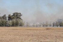 INCENDIO RURAL DE GRANDES PROPORCIONES