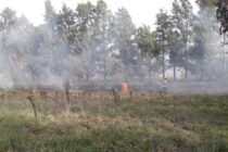 INCENDIO DE BAQUINA SOBRE RUTA 41