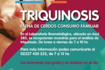 TRIQUINOSIS: PAUTAS PARA PRODUCTORES PORCINOS