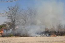 INCENDIO DE PASTIZALES EN UN TERRENO