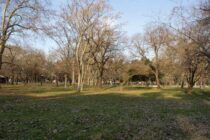 FESTEJOS POR EL DÍA DE LA PRIMAVERA, CON RIGUROSOS CONTROLES POLICIALES