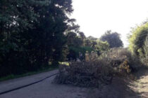 ESCAPE DE GAS EN BARRIO VINELLI