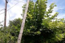 VECINOS DEL BARRIO SAN ROQUE SE QUEJAN