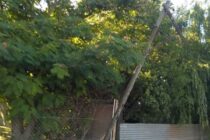 QUEJA DE VECINOS: POSTES DEL TENDIDO ELECTRICO AMENAZA CAER