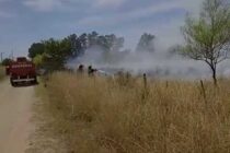 TRES INCENDIOS DE PASTIZALES EN SIMULTÁNEO