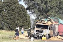 MOTOCICLISTA LOBENSE PIERDE LA VIDA AL CHOCAR CONTRA UN CAMIÓN