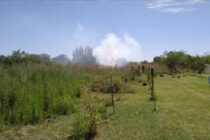 INCENDIO DE PASTIZALES