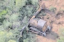 EN 2020 SE PERDIERON EN EL PAÍS MÁS DE 114.000 HECTÁREAS DE BOSQUE NATIVO