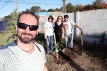 PLANTACION DE ARBOLES Y ENTREGA DE PLANTINES