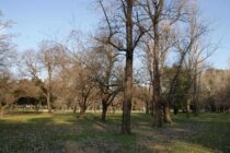 AYER COMENZÓ EL OTOÑO