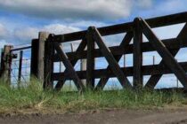 ALIANZA DE LA RURAL DE LOBOS CON  EL GRUPO  CENCERRO