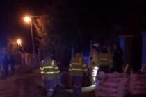 UNA SALAMANDRA LE PRODUJO QUEMADURAS A UNA MUJER