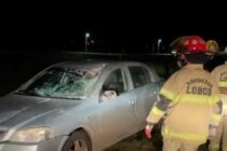 UN AUTOMÓVIL COLISIONÓ CONTRA UN CABALLO EN RUTA 41