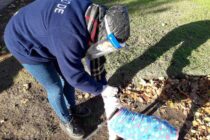 LANZAN RELEVAMIENTO PARA PEDIR QUE REANUDEN LAS CASTRACIONES