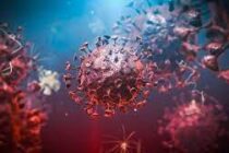 AYER CONFIRMARON 14 CASOS Y 21 ALTAS.