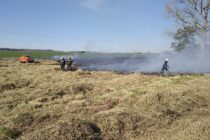 INCENDIO DE PASTOS SECOS EN LA BANQUINA DE LA 41