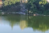 LA CORTE SUPREMA DE LA PROVINCIA RATIFICO SENTENCIA SOBRE LA EXTRACCION DE TOSCA DE LA CAVA