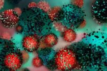 AYER NO HUBO NUEVOS CASOS Y 4 PACIENTES RECIBIERON EL ALTA