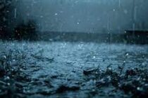 LLUVIA: CAYERON AYER EN LOBOS 20 MM