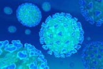 UN CASO Y UN ALTA EN EL PRIMER INFORME DE LA SEMANA