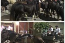 UNA MULTITUD RESPALDO EL DESFILE DE LA TRADICION QUE VOLVIO LUEGO DE UN AÑO