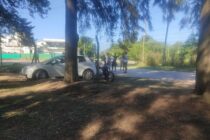 SE DESPISTO UN AUTO Y SE METIO EN EL PARQUE