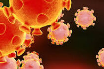 PARTE DEL VIERNES 11: EN LOS ULTIMOS 3 DIAS HUBO 45 CASOS Y 23 ALTAS EN LOBOS