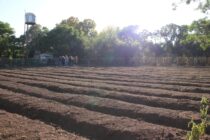 POLO PRODUCTIVO EN EL ASILO GENERADO POR EL MOVIMIENTO EVITA