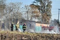 BOMBEROS: INCENDIO DE PASTOS
