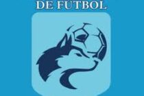 SINTESIS DEL FUTBOL OFICIAL DEL FIN DE SEMANA