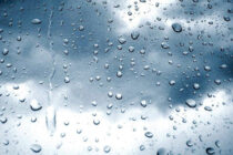 VOLVIO LA LLUVIA!!!! EN PLANTA URBANA 40 MM, REGISTROS EN ZONA RURAL