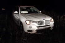 SE CRUZO UN CARPINCHO Y PROVOCO EL DESPISTE DE UN AUTO EN LA 41