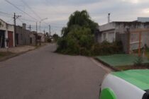 TORMENTA CON RAFAGAS DE VIENTO: SALIDAS DE DEFENSA CIVIL Y BOMBEROS