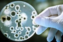 COMUNICADO DEL MINISTERIO DE SALUD DE LA PROVINCIA POR LAS INTOXICACIONES FATALES EN BERAZATEGUI