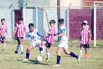 SE SUSPENDIO POR EL CALOR EL INICIO DEL FUTBOL INFANTIL