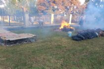 POLLADA POR LOS CHICOS: LA COMISION FIESTA DIA DEL NIÑO «PADRE TROIANO» VENDIO TODOS LOS POLLOS