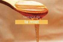 SEMANA DE LA MIEL EN LOBOS: EL SABADO 20 LA MOVIDA EN LA PLAZA 1810