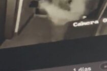 ROBARON PIEZAS DEL ECOGRAFO DEL DR. ISLA. SERIA EL MISMO SUJETO QUE ROBO EN EL CONSULTORIO DE BRUNO