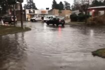 LLOVIERON 14 MILIMETROS EN PLANTA URBANA EN EL CHAPARRON DE AYER